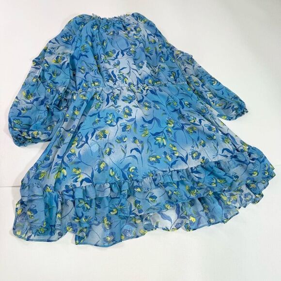 Prabal Gurung for JCPenny Dress Women 2X Floral Ruffle Hem Drawstring flowy Blue - Picture 8 of 9